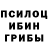 ГАШИШ гашик Todd Red