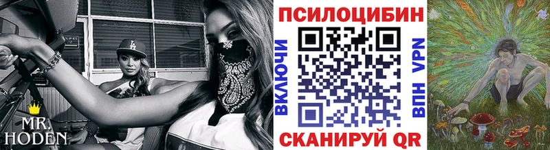 Купить закладки Будённовск Псилоцибиновые грибы MAGIC MUSHROOMS